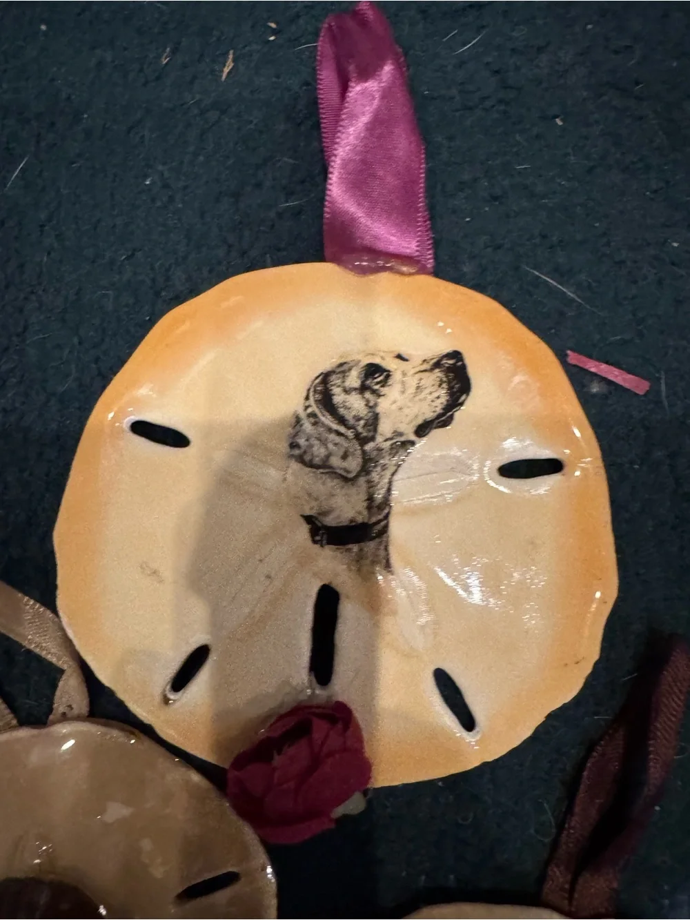 Handmade Tan real Sand Dollar Bird Perch with Pet Image Accent